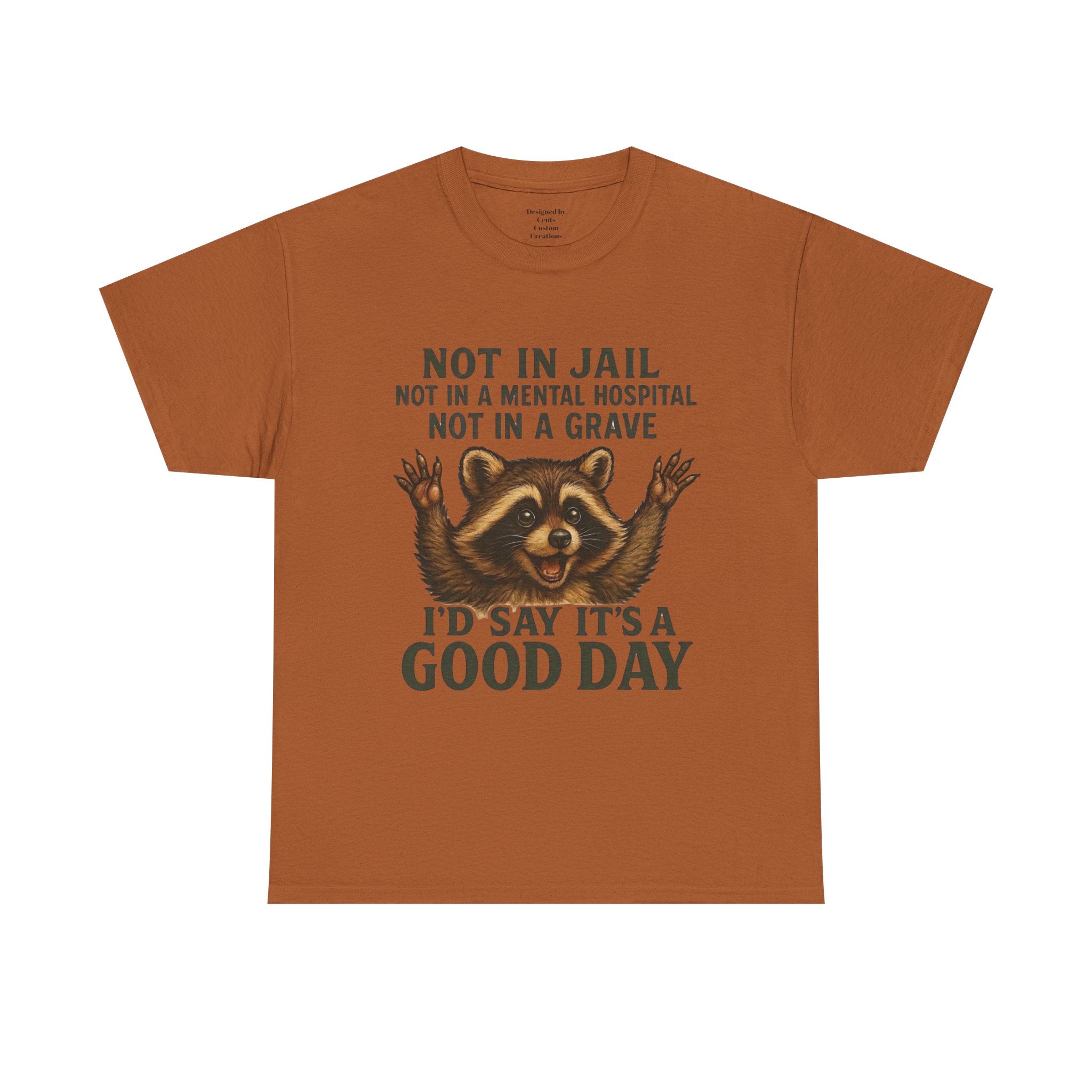 Good Day Raccoon T-Shirt — "Not in Jail... I'd Say It's a Good Day" Graphic Tee
