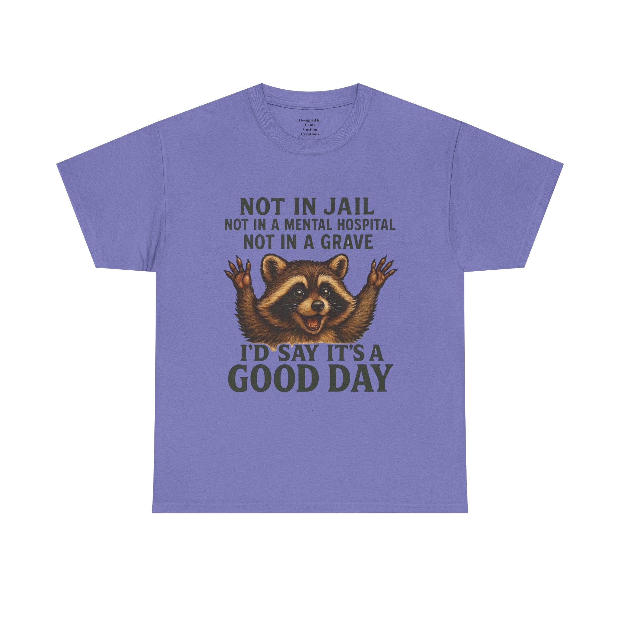 Good Day Raccoon T-Shirt — "Not in Jail... I'd Say It's a Good Day" Graphic Tee
